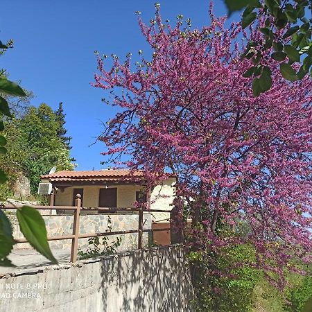 Forestrock Studio For Sale Too 斯巴达 外观 照片