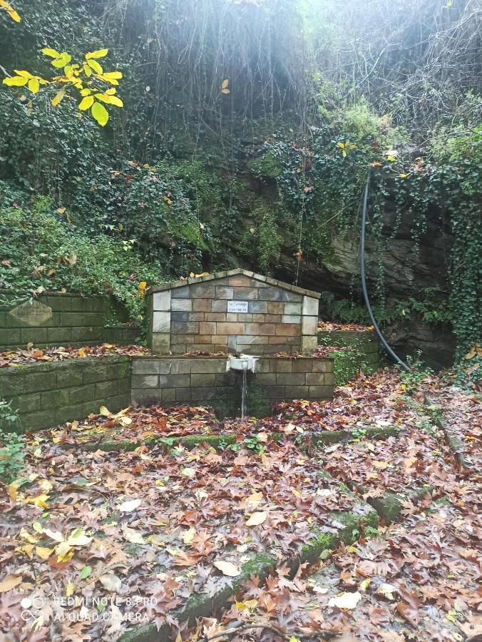 Forestrock Studio For Sale Too 斯巴达 外观 照片