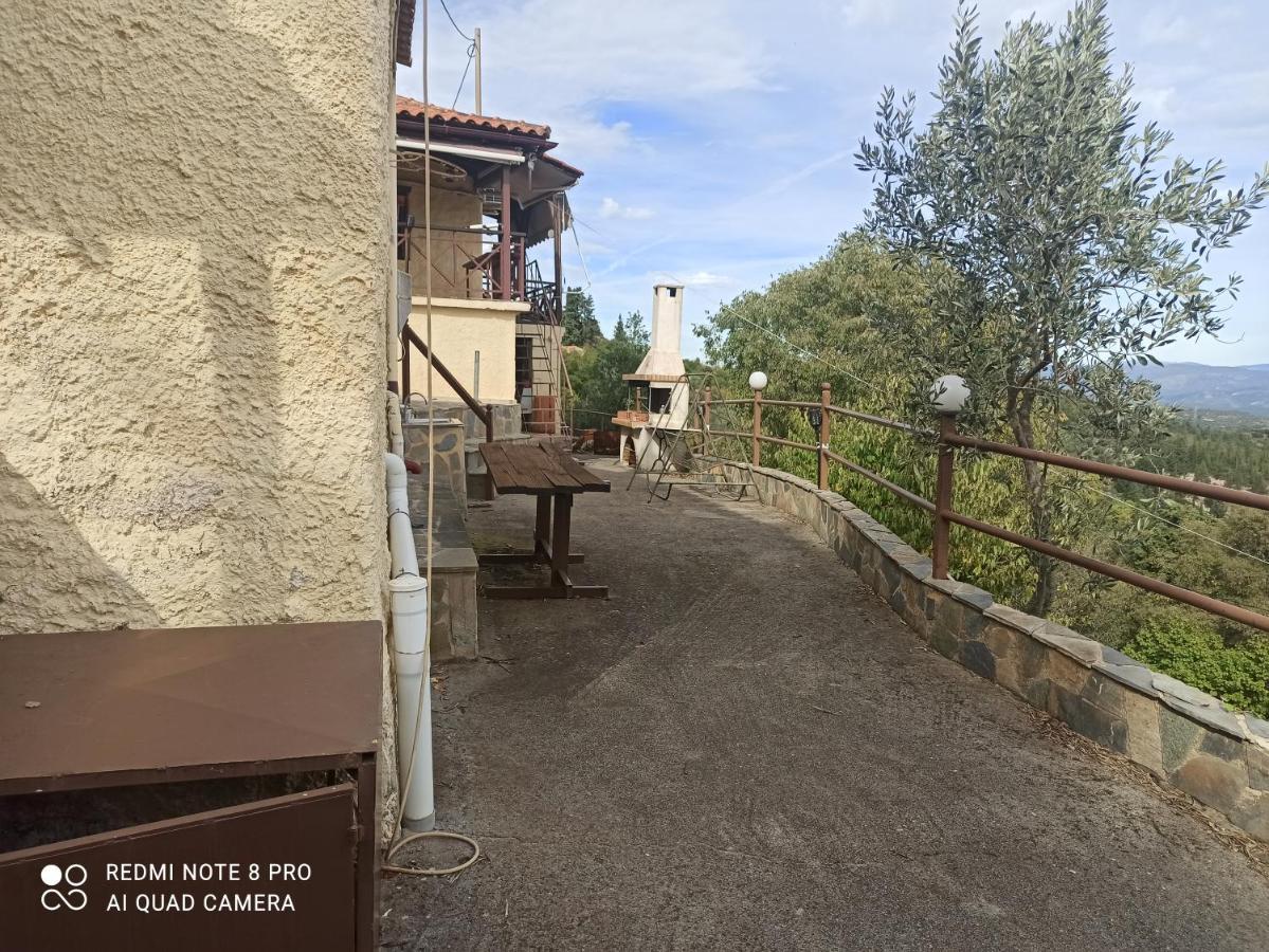 Forestrock Studio For Sale Too 斯巴达 外观 照片