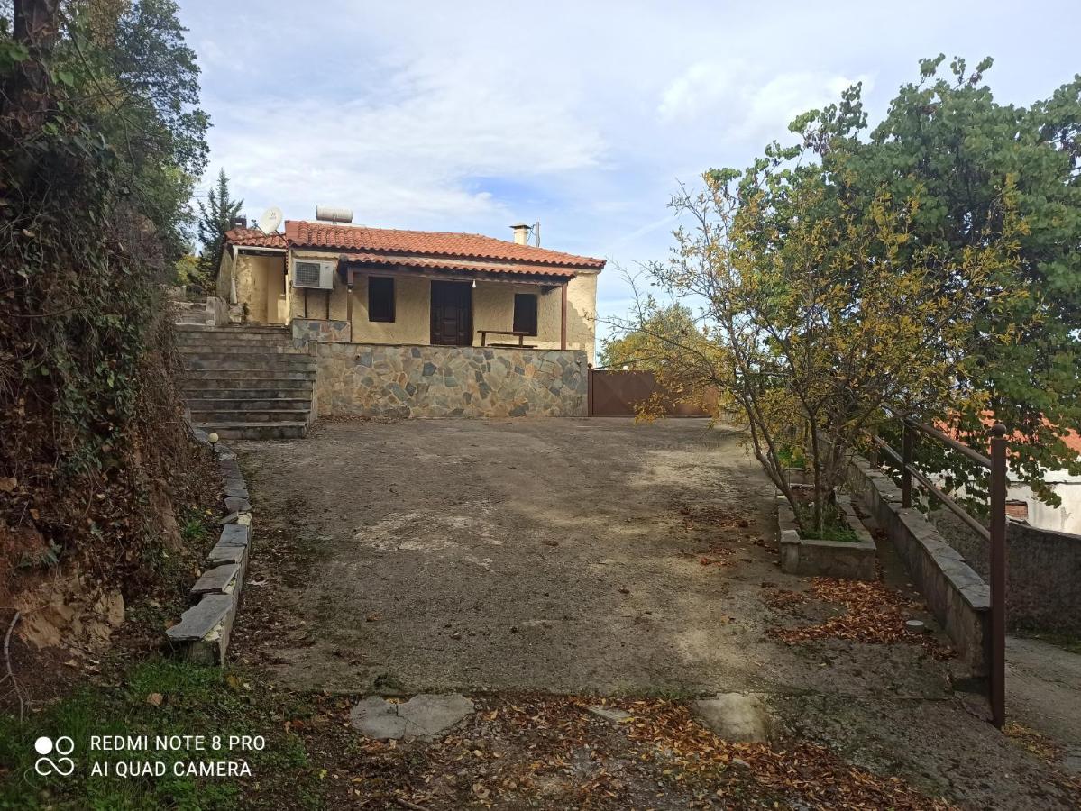 Forestrock Studio For Sale Too 斯巴达 外观 照片