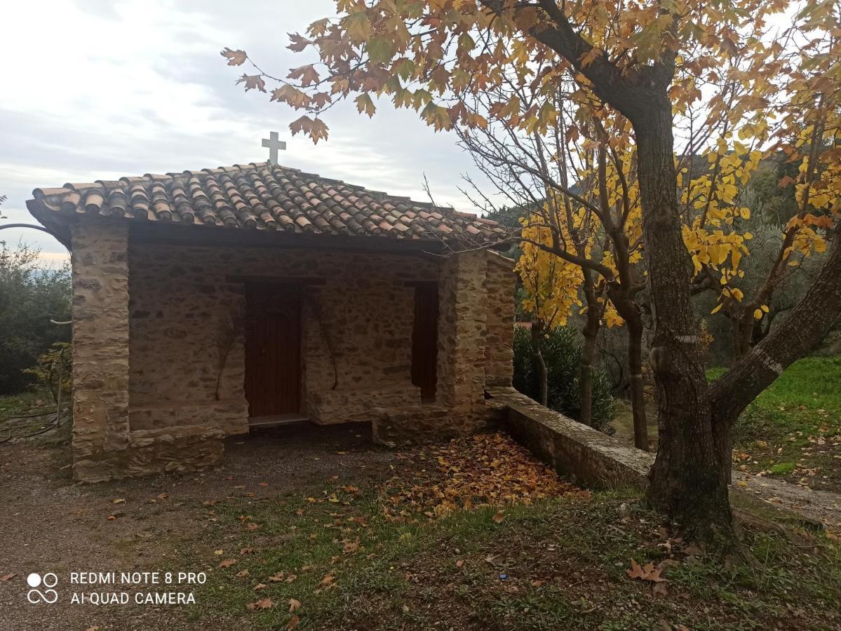 Forestrock Studio For Sale Too 斯巴达 外观 照片