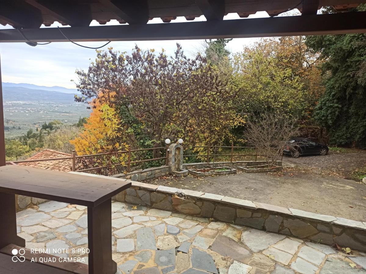 Forestrock Studio For Sale Too 斯巴达 外观 照片